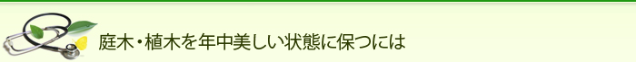 庭木・植木を年中美しい状態に保つには