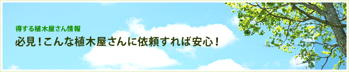 【庭木・植木について】必見!こんな植木屋さんに依頼すれば安心!