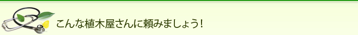 こんな植木屋さんに頼みましょう!