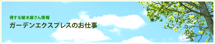 【得する植木屋さん情報】ガーデンエクスプレスのお仕事