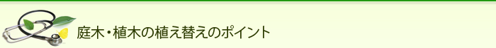 庭木・植木の植え替えのポイント