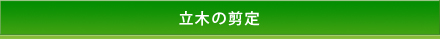 立木の剪定