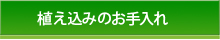 植え込みのお手入れ