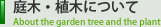 庭木・植木について