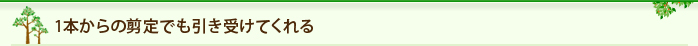 1本からの剪定でも引き受けてくれる