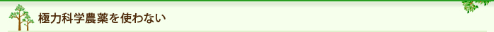 極力科学農薬を使わない