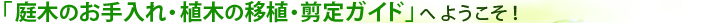 「庭木のお手入れ・植木の移植・剪定ガイド」へようこそ！