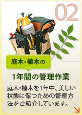 【庭木・植木の1年間の管理作業】庭木・植木を1年中、美しい状態に保つための管理方法をご紹介しています。