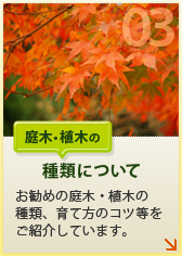 【庭木・植木の種類について】お勧めの庭木・植木の種類、育て方のコツ等をご紹介しています。