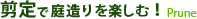 剪定で庭造りを楽しむ！