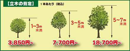 7m（5m～7m未満）16,500円／1本あたり 5m（3m～5m未満）6,600円／1本あたり 3m（1m～3m）3,300円／1本あたり 