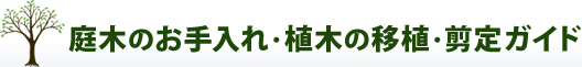 庭木のお手入れ・植木の移植・剪定ガイド