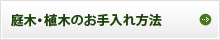 庭木・植木のお手入れ方法