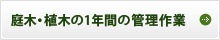 庭木・植木の1年間の管理作業