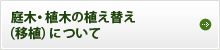 庭木・植木の植え替え（移植）について