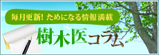 毎月更新！ためになる情報満載 樹木医コラム