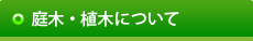 庭木・植木について